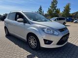 Ford Grand C-Max 2,0TDCi 103kW Titanium - Ford aus 2014
