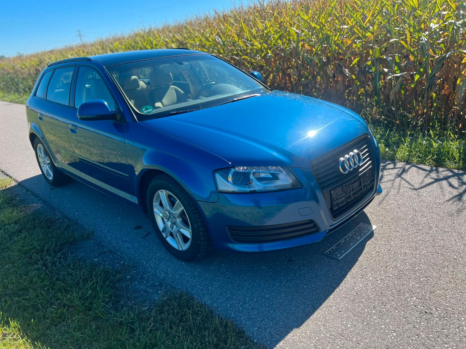 Audi A3 2009 — rear view