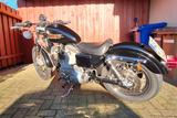 Harley-Davidson Sportster 883 (1200) - HARLEY-DAVIDSON 2001 SPORTSTER 1200