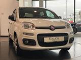 Fiat Panda 1.2 8V Easy CityPaket+ Connect Sitzhzg DAB - Fiat Panda: 1.1