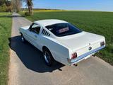 Ford Mustang Fastback 289 Cui V8 - Ford: 289
