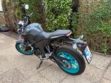 Yamaha MT125 | gepflegt | EZ 2024 | MyRide ready - Offers matching your search criteria
