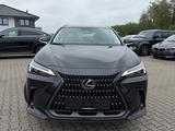 Lexus NX 350h Executive Hybrid - Lexus aus 2024: Nx
