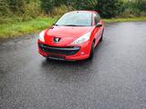 Peugeot 206+ / neue TÜV / viele neu teile - Peugeot 206: Rot