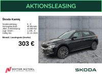 Skoda Kamiq - Vorschau Bild 1