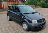 Fiat Panda Active 1.1 8V Eco schwarz, 10/2... - Fiat Panda: E10