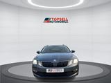 Skoda Octavia 1.4 TSI Drive Combi LED Kamera AHK - Skoda Octavia: Combi Drive