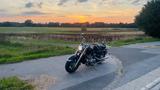 Yamaha XVZ 1300 - YAMAHA XVZ 1300