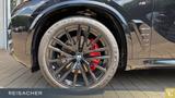 BMW X5 xDrive40d A M-Sport,M-Sport PRO,SkyLou,AHK,DA - BMW mit Diesel-Antrieb: Vollleder