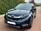 Honda CR-V 1.5 VTEC Turbo 4WD Executive Automatik AHK - Honda CR-V: Executive