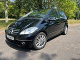 Mercedes-Benz A 150 ELEGANCE Autotronic Elegance - Mercedes-Benz A 150 mit Panoramadach