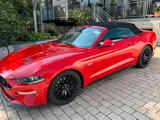 Ford Mustang 5.0 Ti-VCT V8 GT Auto GT - Ford Mustang mit Benzin-Antrieb: Cabrio, 5.0