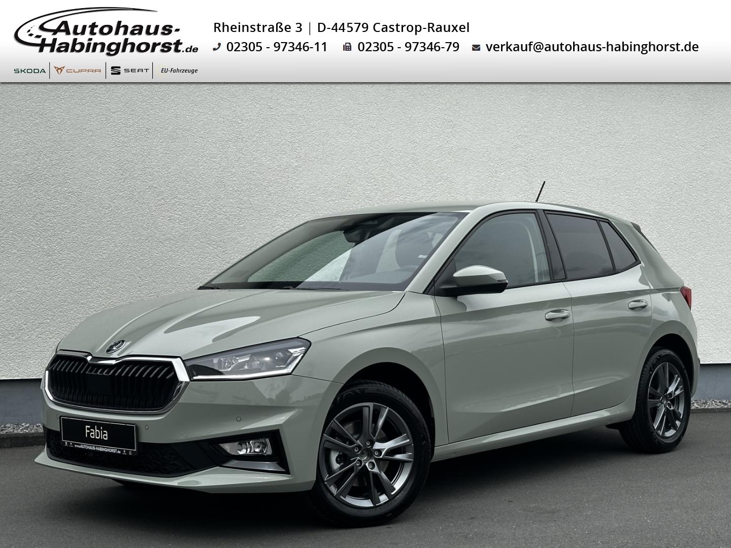 Skoda Fabia