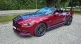 Ford Mustang GT Premium Cabrio 5.0 V8 EU MT Sommer - Ford Mustang: Rot, Cabrio