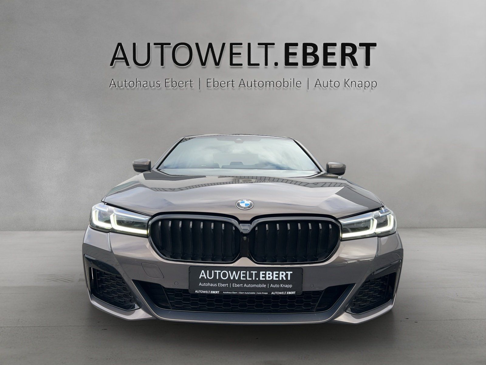 Fahrzeugabbildung BMW 530i M-Sport/INDIVIDUAL/HUD/360°KAMERA/H&K/