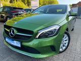 Mercedes-Benz A-Klasse A 180 CDI/d BlueEfficiency KAMERA TEMPO - Mercedes-Benz A-Class: Limousine
