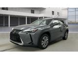 Lexus UX 300e Luxury Head-Up Kamera Navi Leder Sitzkli - Lexus UX Gebrauchtwagen