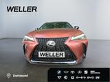 Lexus UX 300h E-FOUR F SPORT *LED*360°*GSD*Levinson*SH - Lexus: Allradantrieb