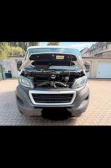 Peugeot Boxer pritche Kipper - Peugeot Boxer in Frankfurt (Main)