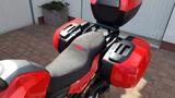 BMW F900XR, Vollausstattung, Autom. Kettenölung - Offers