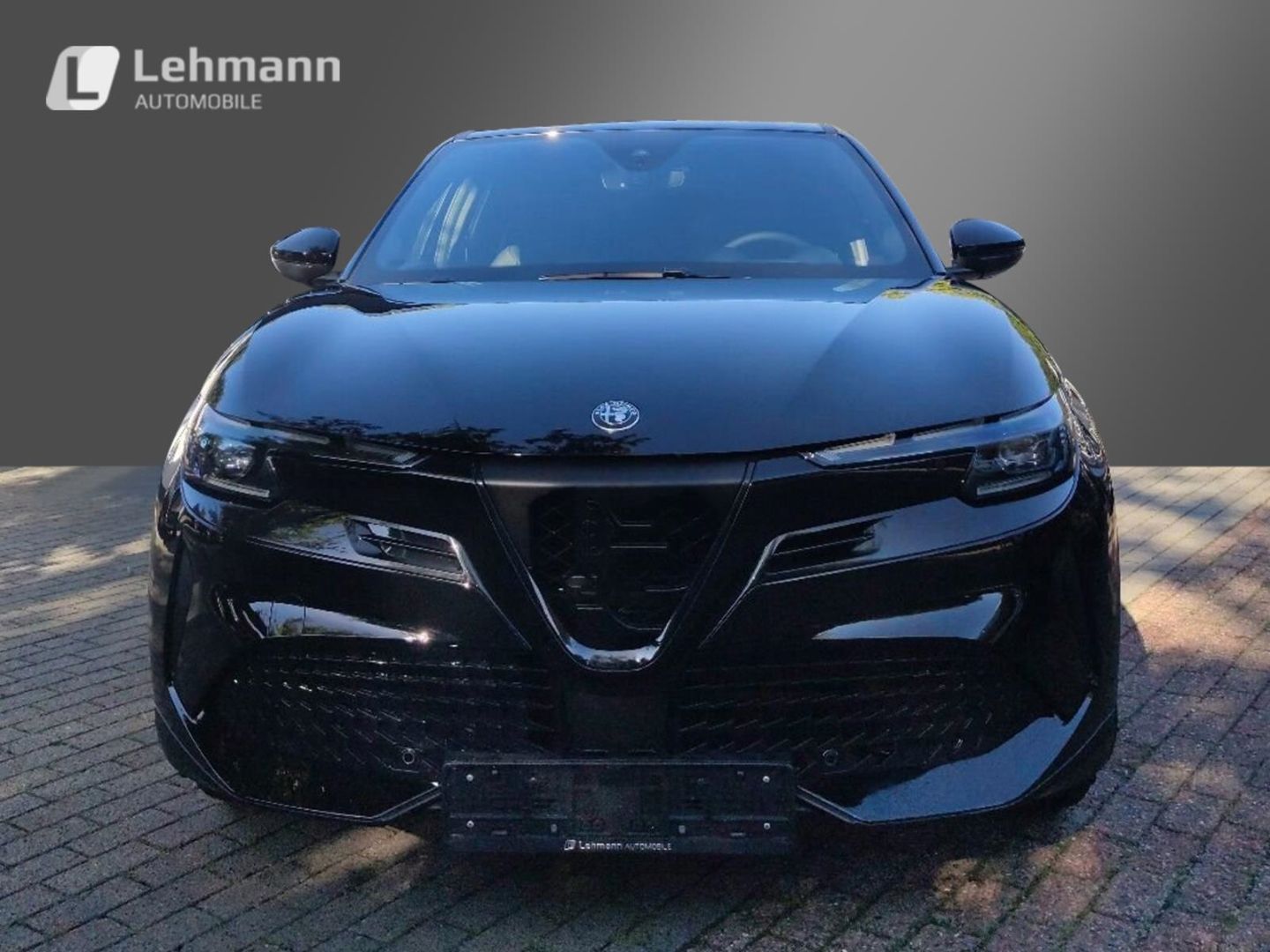 Fahrzeugabbildung Alfa Romeo Junior Elettrica SPECIALE 115kW - Technologie