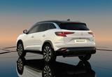 Renault Austral Techno Mild Hybrid 150 Automatik ACC - Renault Austral in Duisburg