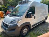 Fiat ducato 3.0 CNG Erdgas - Fiat Ducato mit CNG-Antrieb