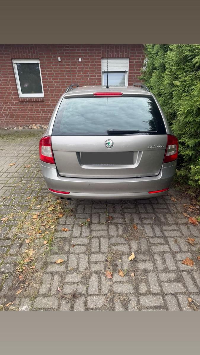 Skoda Octavia 2009 — rear view