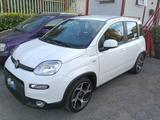 Fiat Panda 1.0 FireFly S&S Hybrid Sport - Fiat Panda: Sport