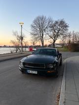 Ford Mustang - Ford Mustang in Leverkusen