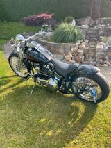 Harley-Davidson Softtail Springer Custom - HARLEY-DAVIDSON SOFTTAIL