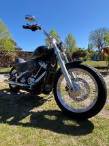 Harley-Davidson Softail Standard  - HARLEY-DAVIDSON SOFTAIL STANDARD