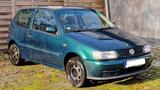 Volkswagen VW Polo 6N 1.0 50PS ABS Servo TÜV 09/2026 - gebrauchte VW Polo aus dem Jahr 1997