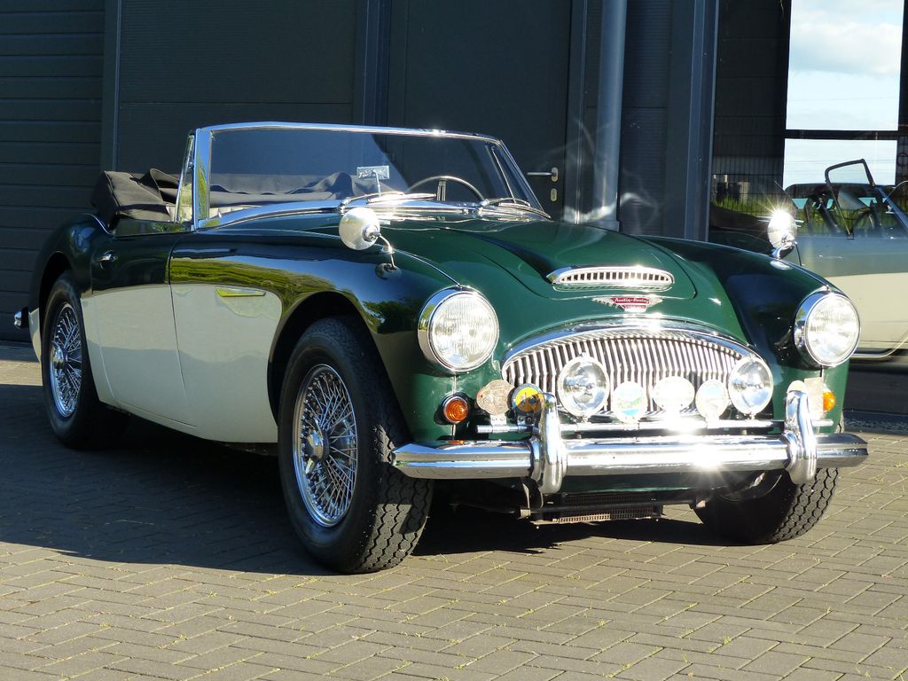 Austin Healey Andere