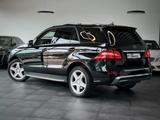 Mercedes-Benz ML 250 4Matic *AMG*Distro+*TotwASS*SpurASS*Pano* - Mercedes-Benz ML-Class