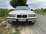 BMW Bmw E36 318i Alpina weiß TÜV/HU neu - BMW 318 aus 1992: 318i E36