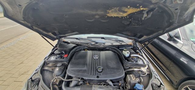 C 250 CDI BlueEff Avantgarde COMAND APS/Navi/FIS