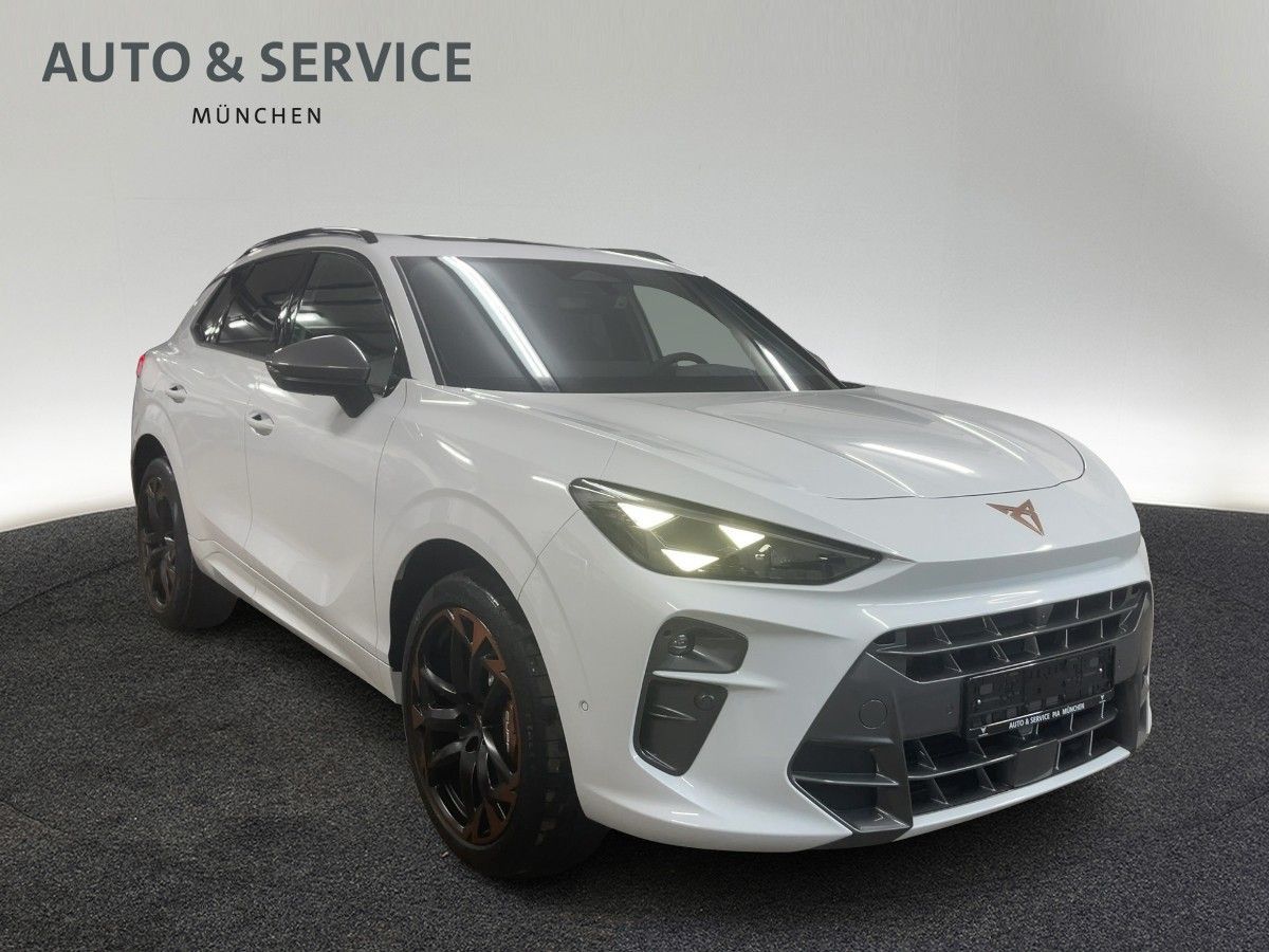 Cupra Terramar - Bild 4