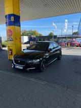 Volkswagen Jaguar xf R Sport - Volkswagen Golf mit Diesel-Antrieb: Sportwagen