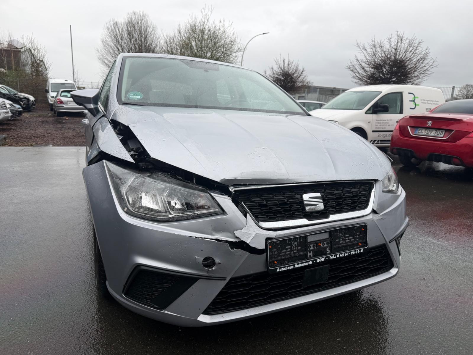 Seat Ibiza Style