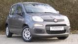 Fiat Panda Base Hybrid *Klima*Navi* 1 Hand! - gebrauchte Fiat Panda aus dem Jahr 2021