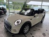 MINI COOPER_D Cabrio Cooper D Navi LED - MINI MINI mit Diesel-Antrieb: Cabrio