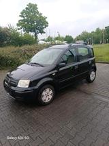 Fiat Panda 1.2 dynamic - Fiat Panda in Bonn