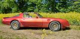 Pontiac Trans Am - Pontiac Trans Am mit Benzin-Antrieb