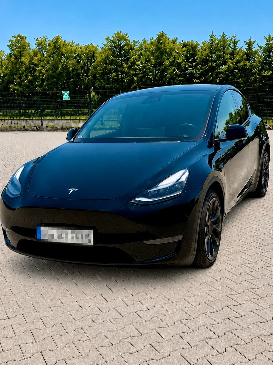 TESLA Model Y Performance Dual Motor AWD Performance