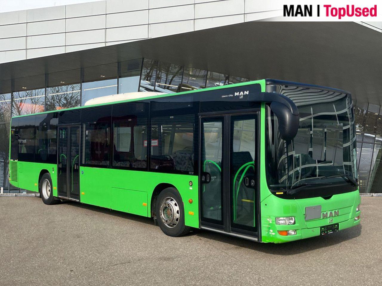 MAN LION'S CITY / A21