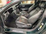 Ford Mustang 5.0 V8 Bullitt Garantie 27 - Ford Mustang: Bullit