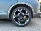 Cupra Formentor 2.0 TSI * VZ 4Drive DSG * Matt grau - Cupra in Düsseldorf