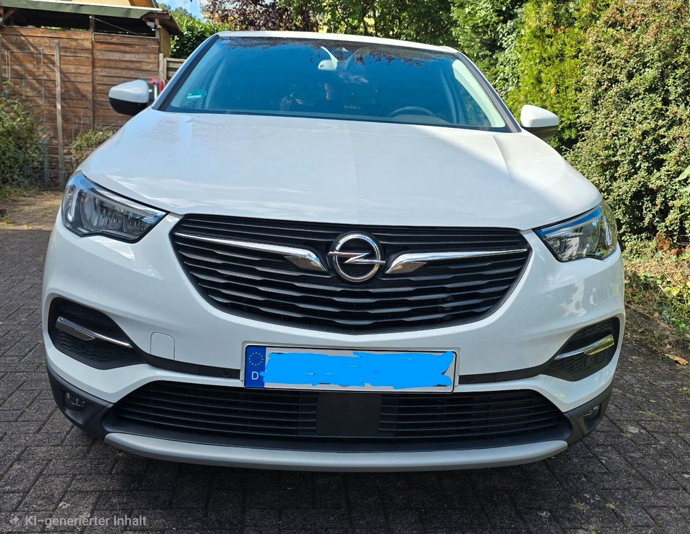 Image of Opel Grandland (X)