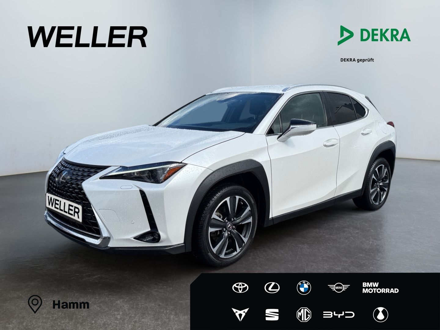 Lexus UX 250h Executive Line *LED*ACC*PDC*SHZ*RCam*DAB